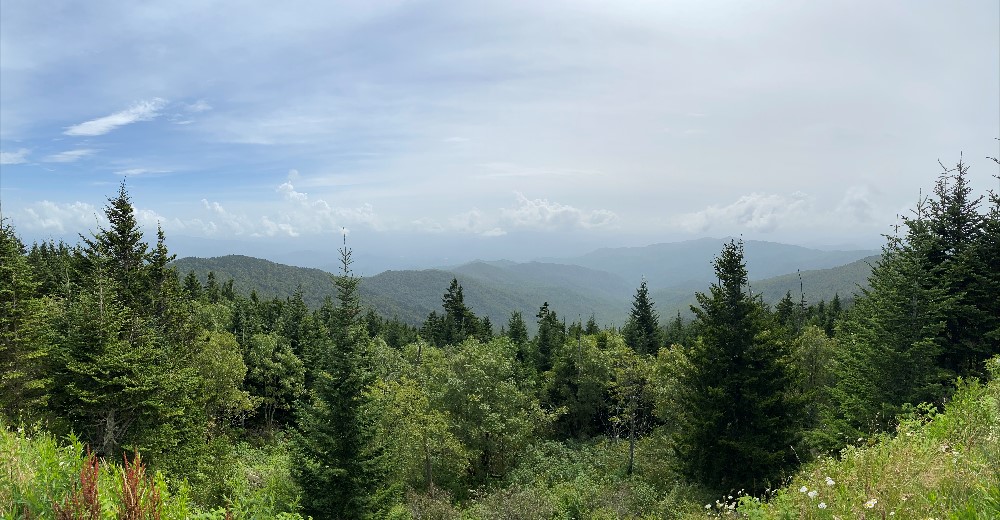 Top Hikes and Sights in the Great Smoky Mountains