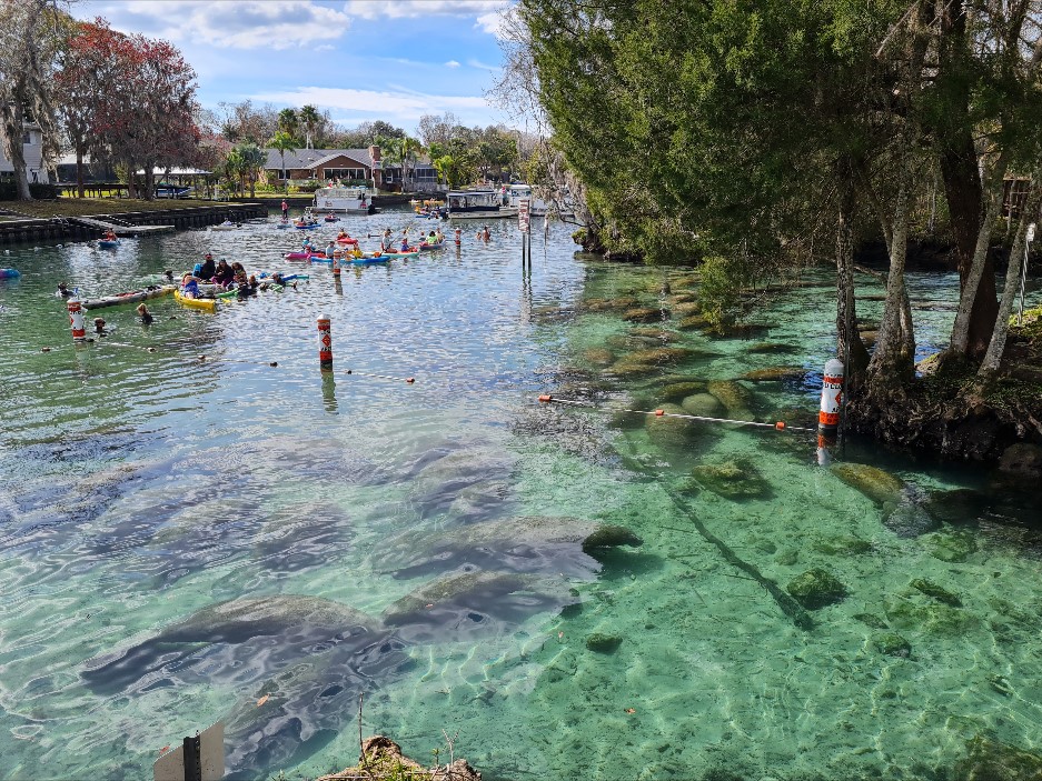 Kayaking Crystal River, Things to Do. Unique Weekend Getaways in Florida