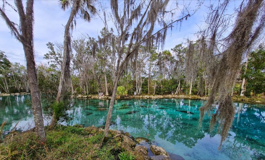 Beautiful Springs in Central Florida You Need to Visit - Gallivanting Laura