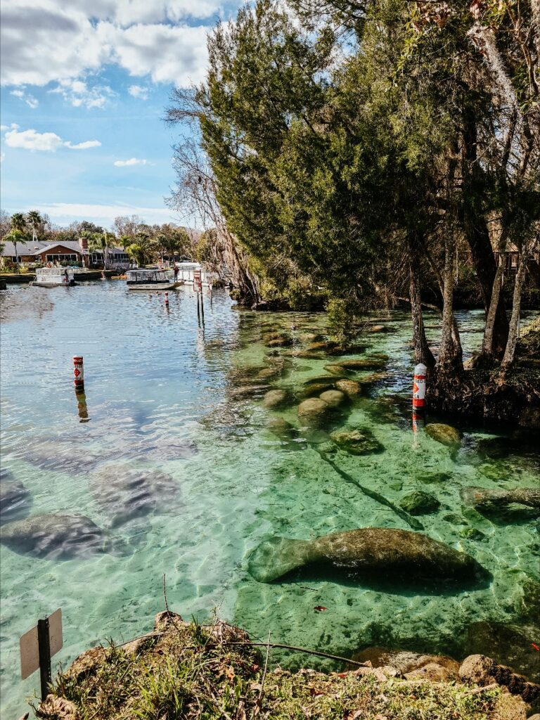 Three Sisters Springs