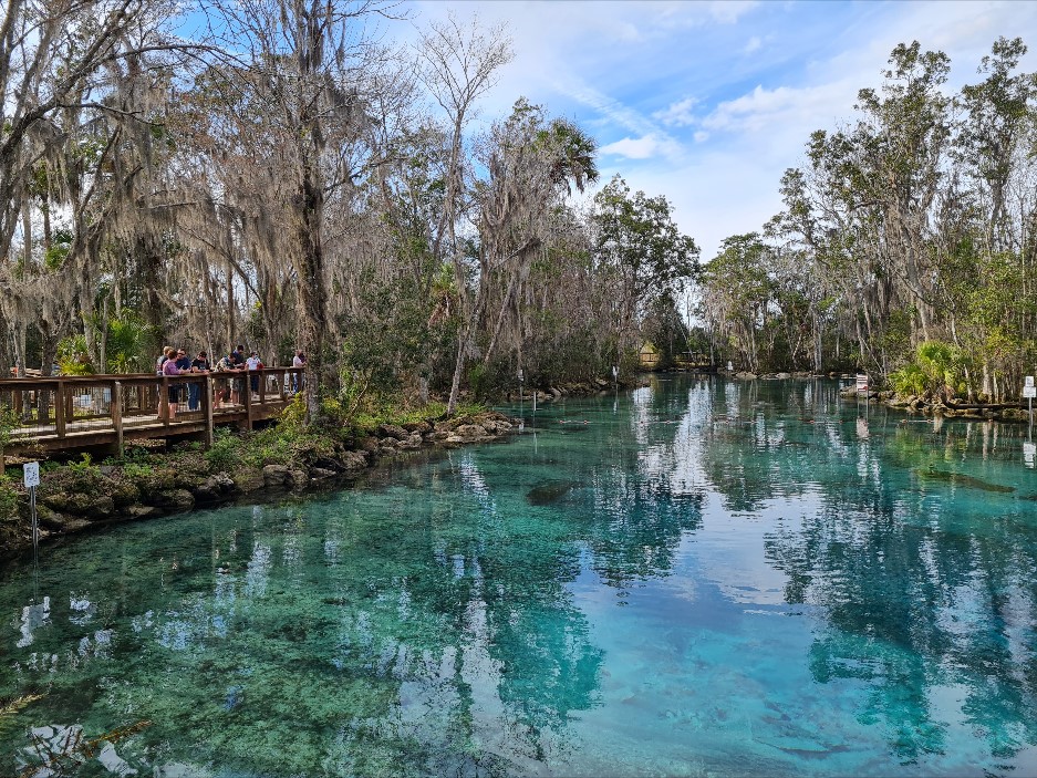 How Can I Swim at Three Sisters Springs?