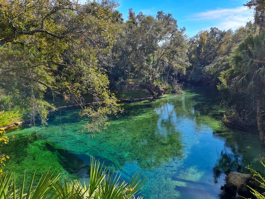 Blue Springs State Park - Central Florida Springs