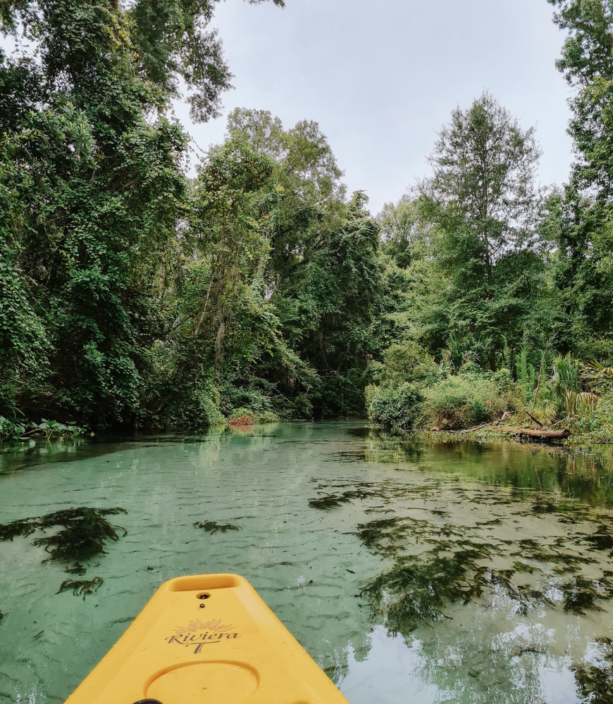 Emerald Cut Run, King's Landing - Central Florida Springs