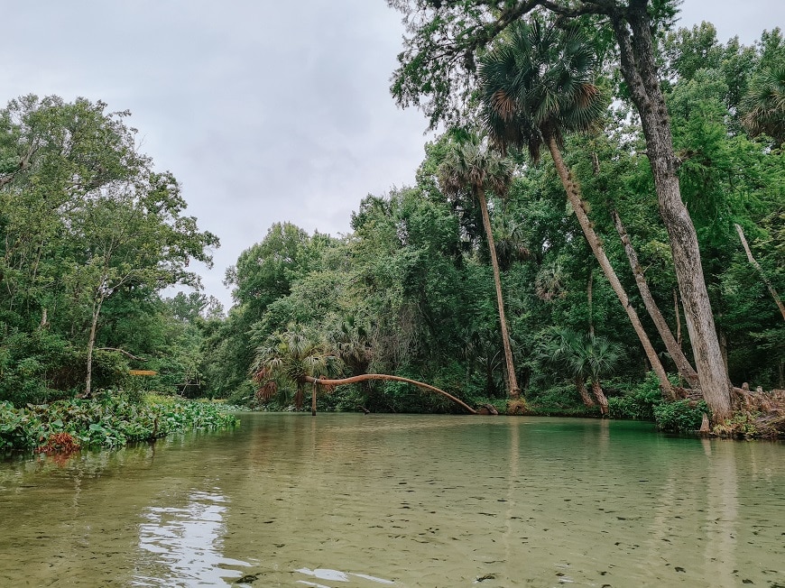 Rock Springs Run State Preserve - Central Florida Springs