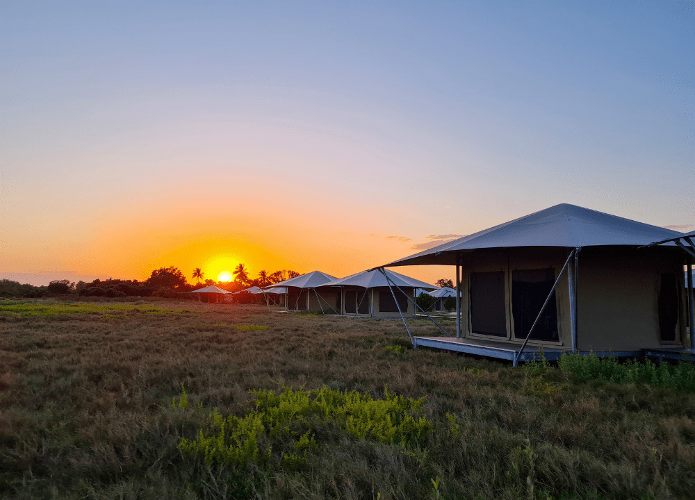 weefgetouw pols veiligheid Unique Stay: Eco-Tent Glamping in the Florida Everglades - Gallivanting  Laura